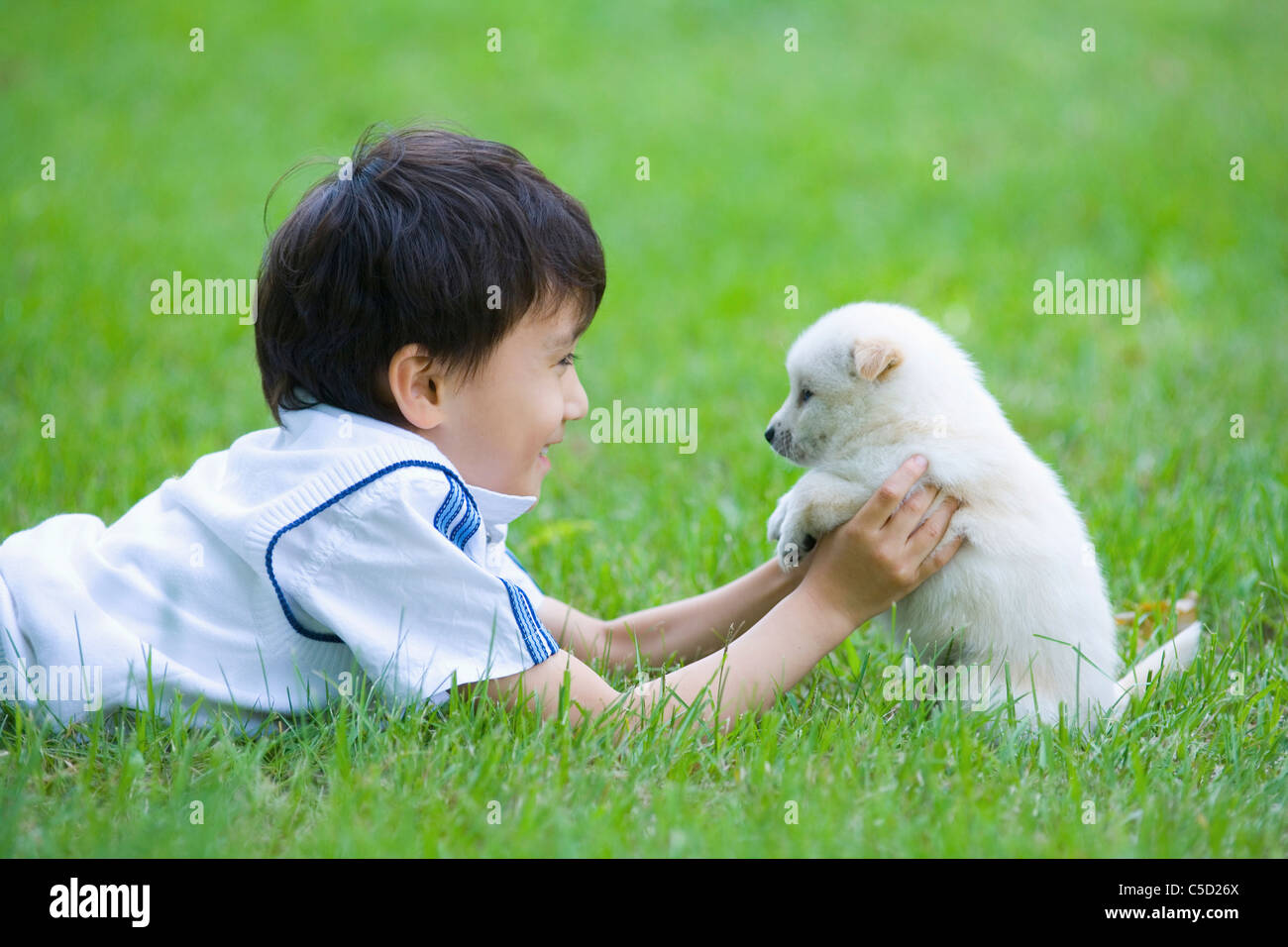 boy seeing baby dog Stock Photo