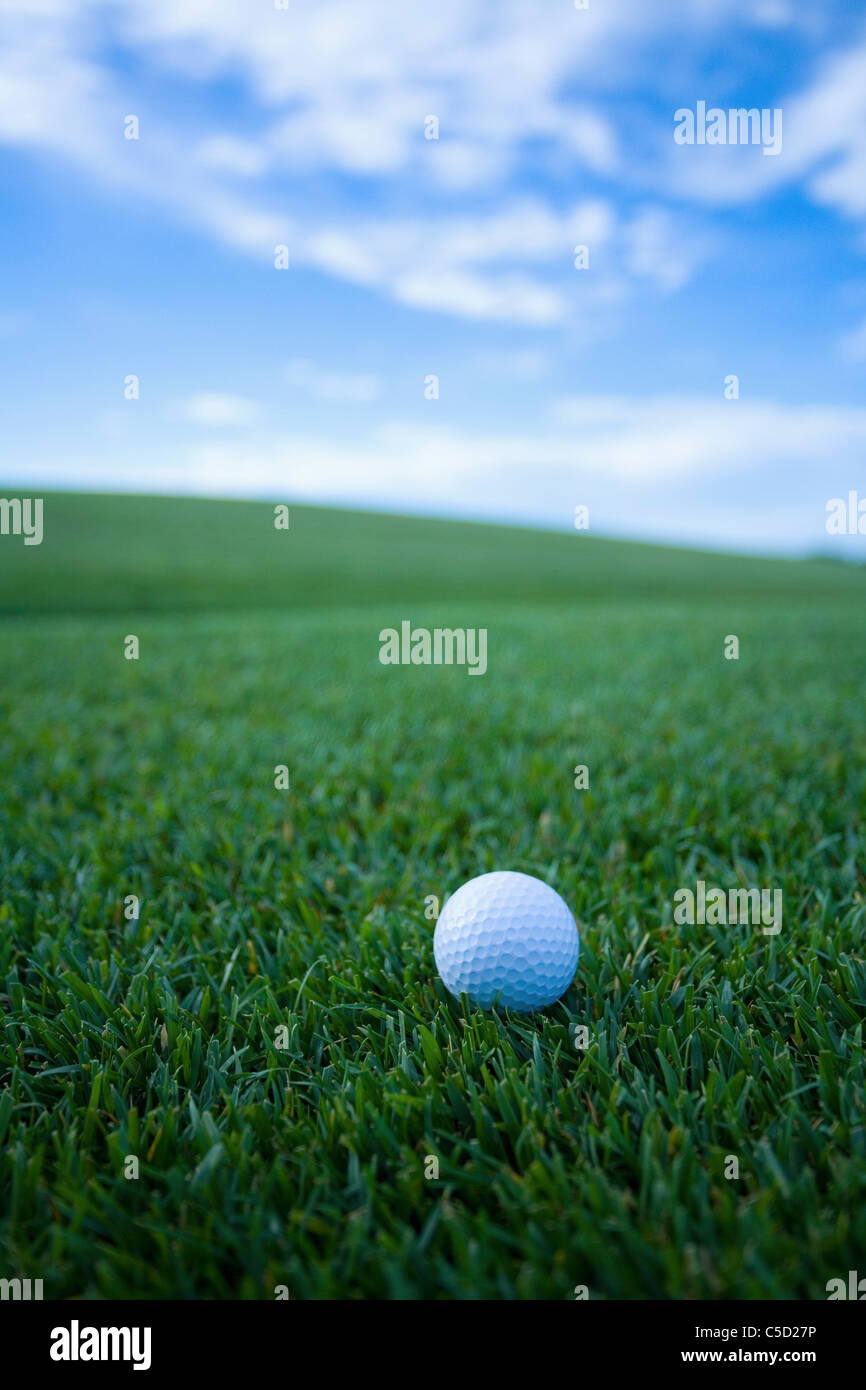 golf ball in the field Stock Photo Alamy
