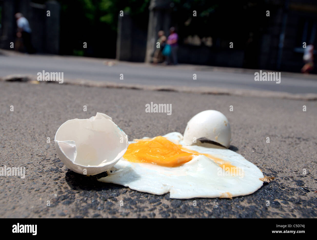The divided egg which has fried on asphalt heated by the sun Stock