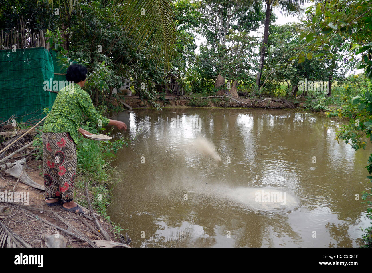 Three kids fishing in the small pond in front of Angkor Wat main temple,  Cambodia Stock Photo - Alamy