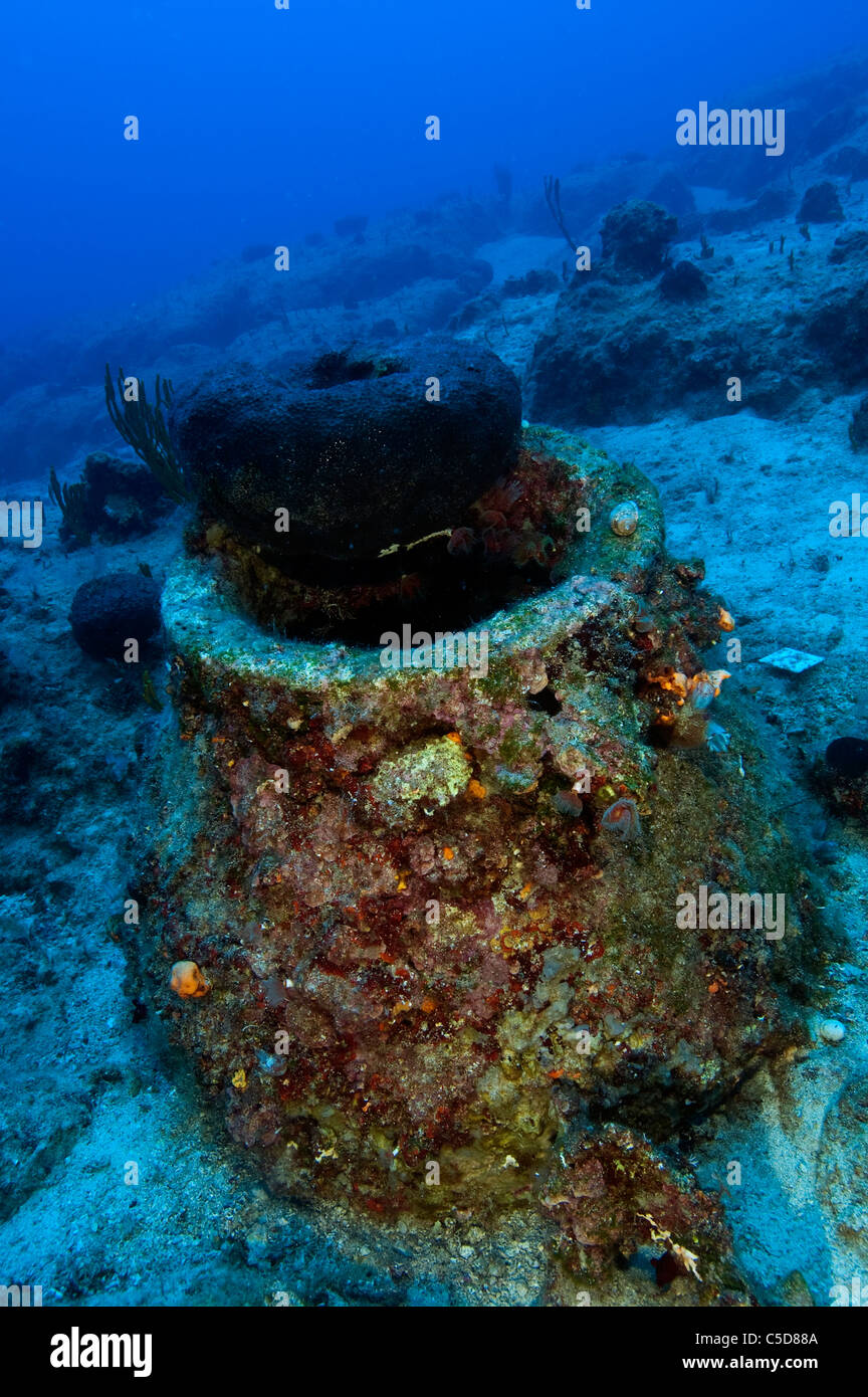 Sponge growing on an ancient pithos of underwater wreck Kas Antalya Turkey Stock Photo