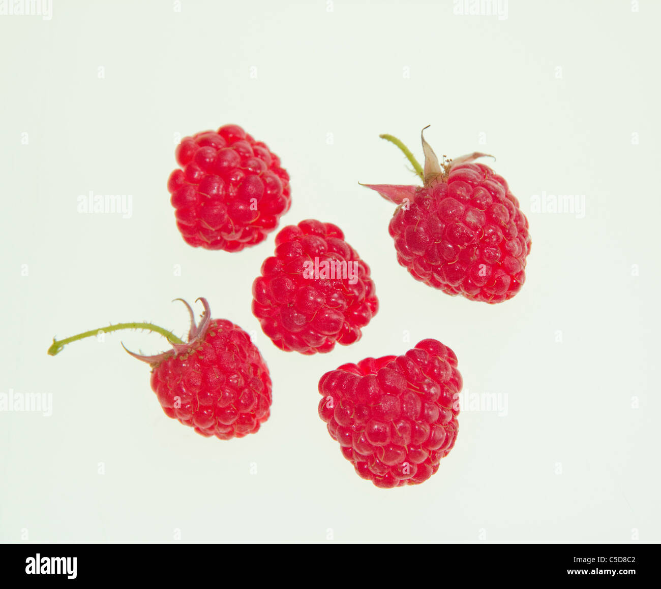 Autumn Bliss Raspberry Stock Photos & Autumn Bliss Raspberry Stock ...