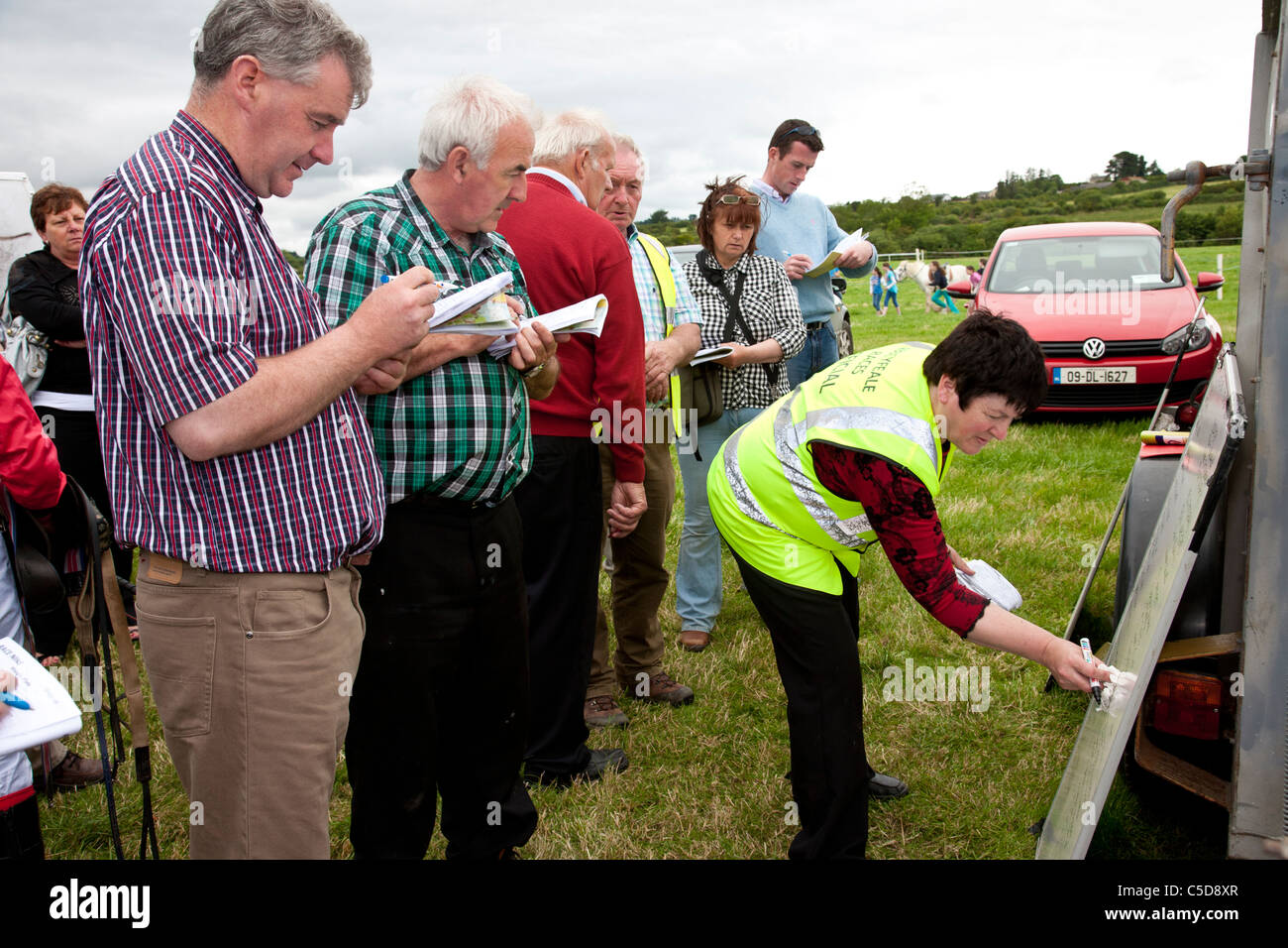 Punters checking names of runners and riders local horse race, Ireland Stock Photo