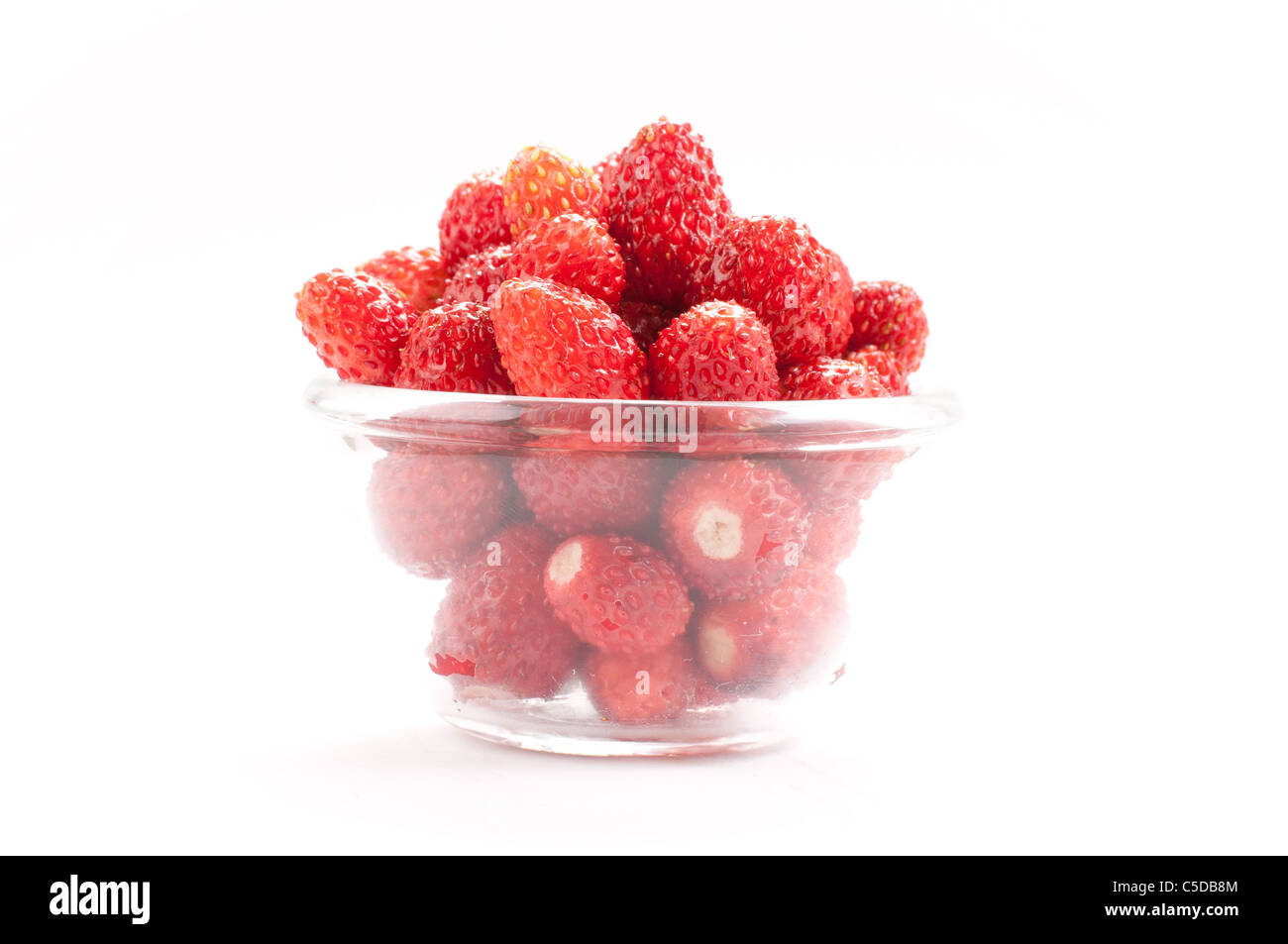 Wild Strawberry - one of the most delicious, rare and expensive berries in the world Stock Photo