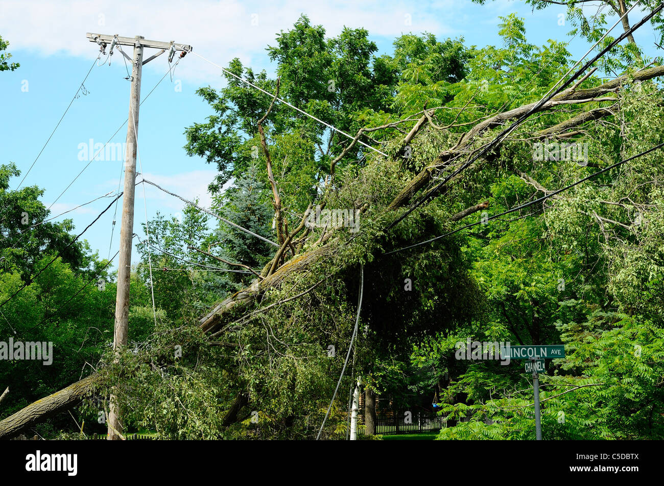 Tree blown down by intense storm laying across high voltage overhead