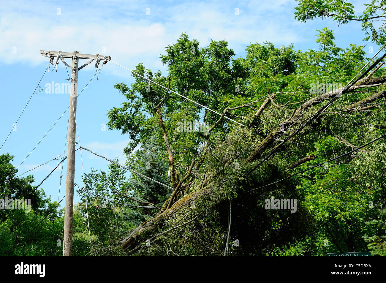 Tree blown down by intense storm laying across high voltage overhead