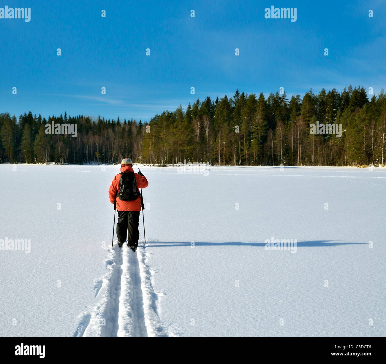 Rear view of a man skiing on the lake snow ice against trees and blue sky Stock Photo