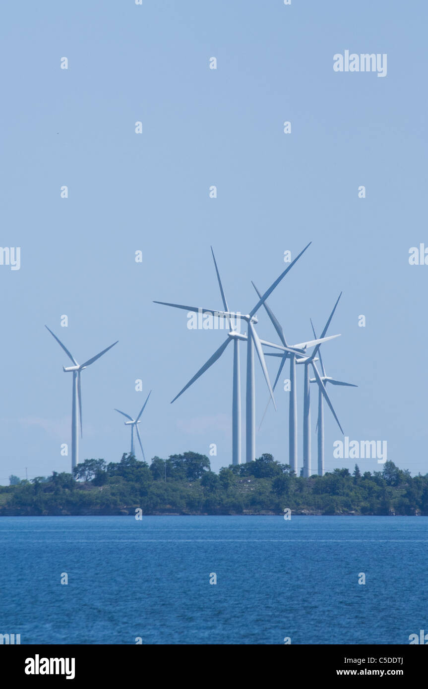 Wolf island hires stock photography and images Alamy