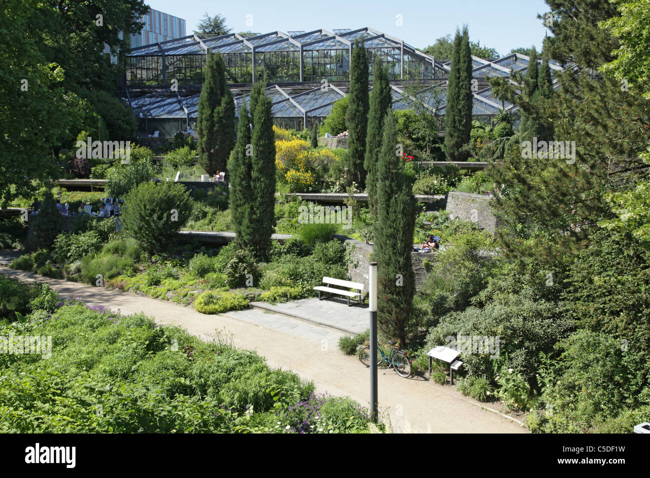 35+ Alter Botanischer Garten Hamburg, The alter botanischer garten