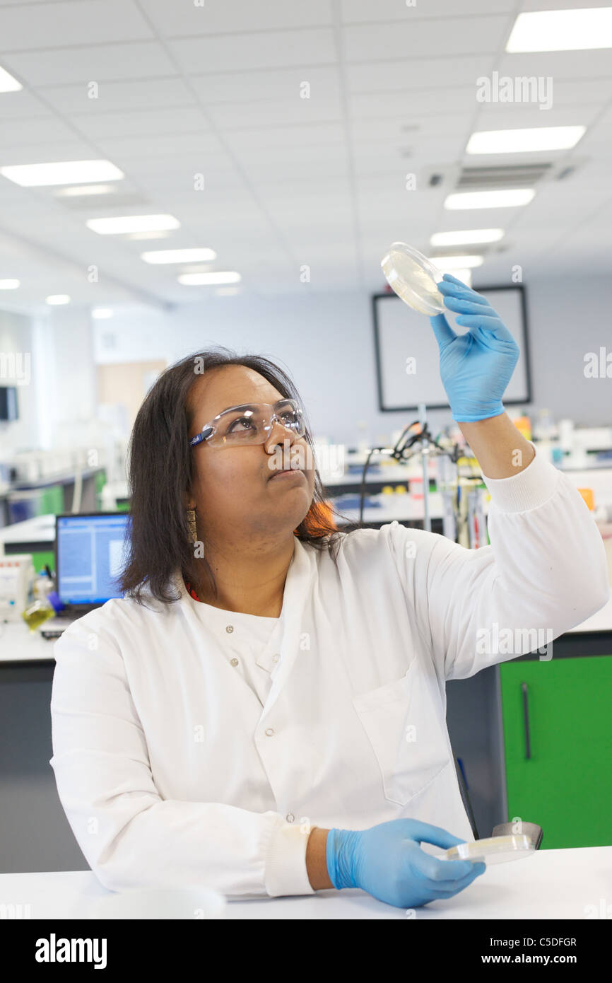 Bio Chemistry Lab Technician High Resolution Stock Photography and