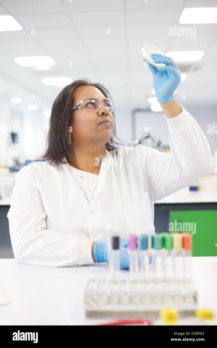 Lab technician chemical testing at the Leeds Metropolitan University.Bio Chemistry Laboratories