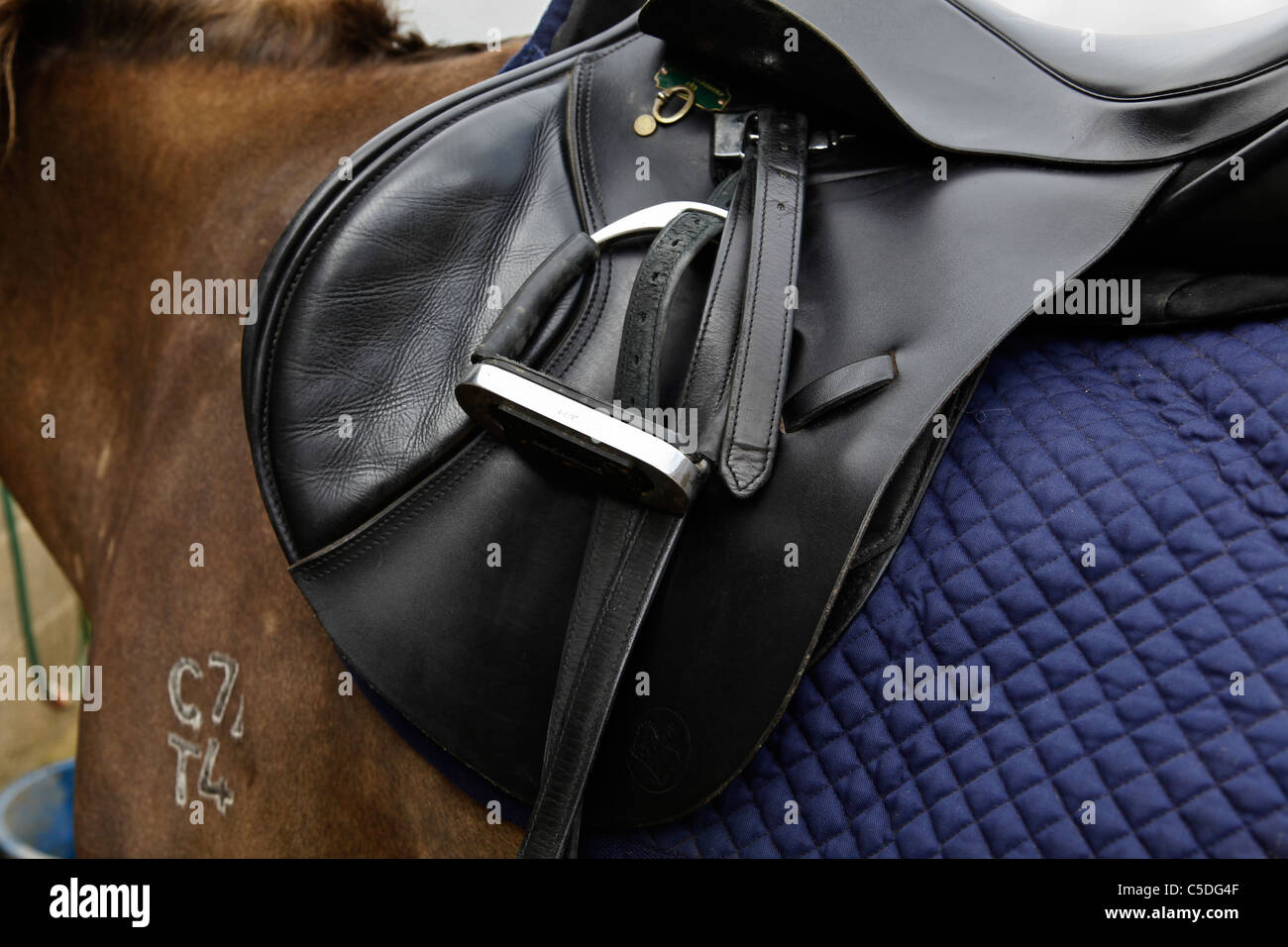 Detail of a stirrup on a leather riding saddle, fitted to a horse Stock