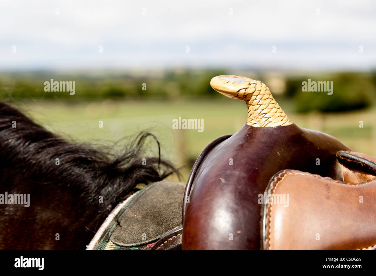 A Western style riding saddle with a leather pommel Stock Photo