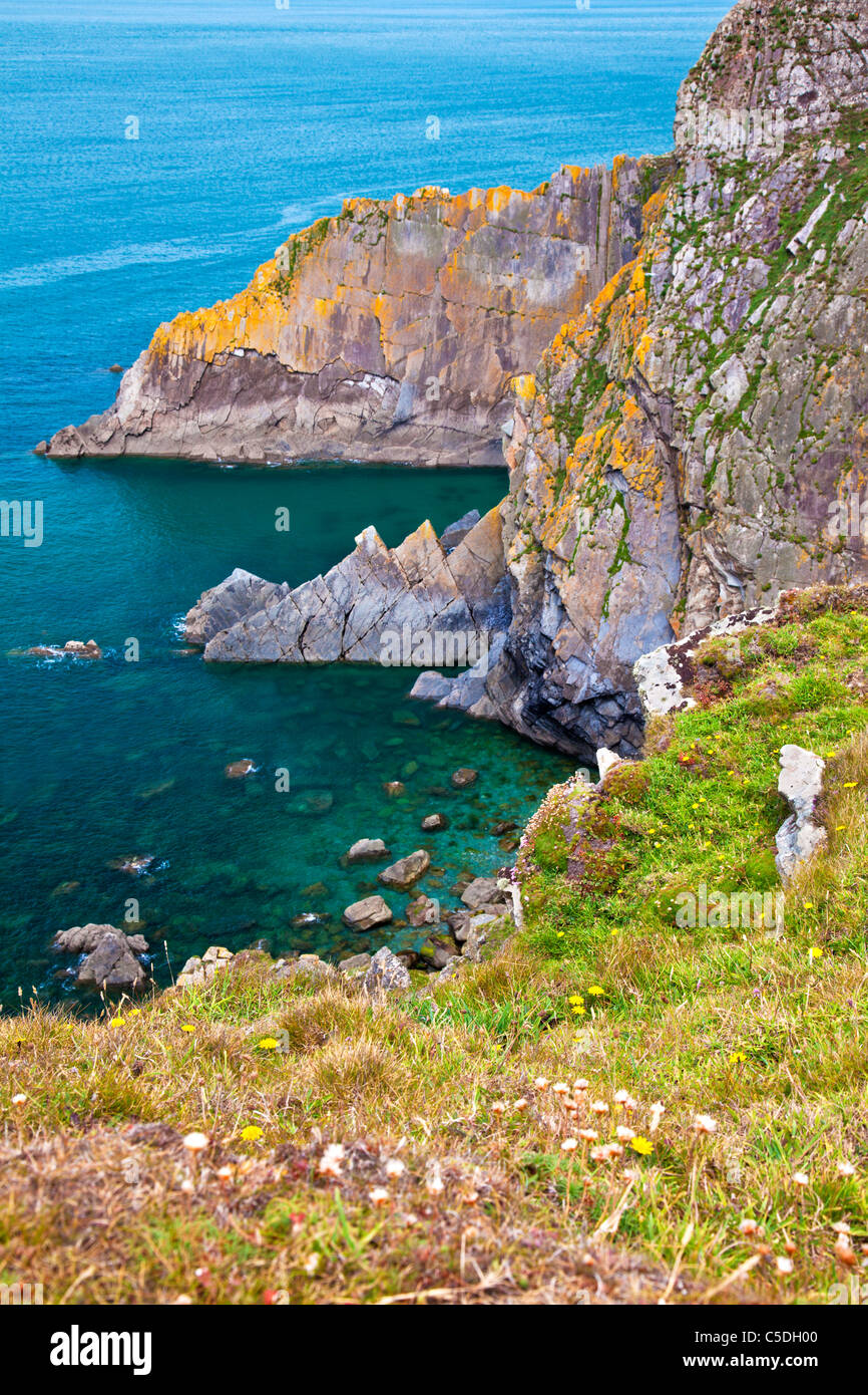 Rocky coastline and cliffs at Baggy Point a headland near Croyde, North Devon, England, UK Stock Photo