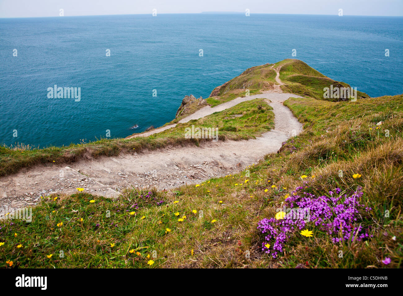 View of Baggy Point a headland near Croyde, North Devon, England, UK with Lundy Island in the distance. Stock Photo