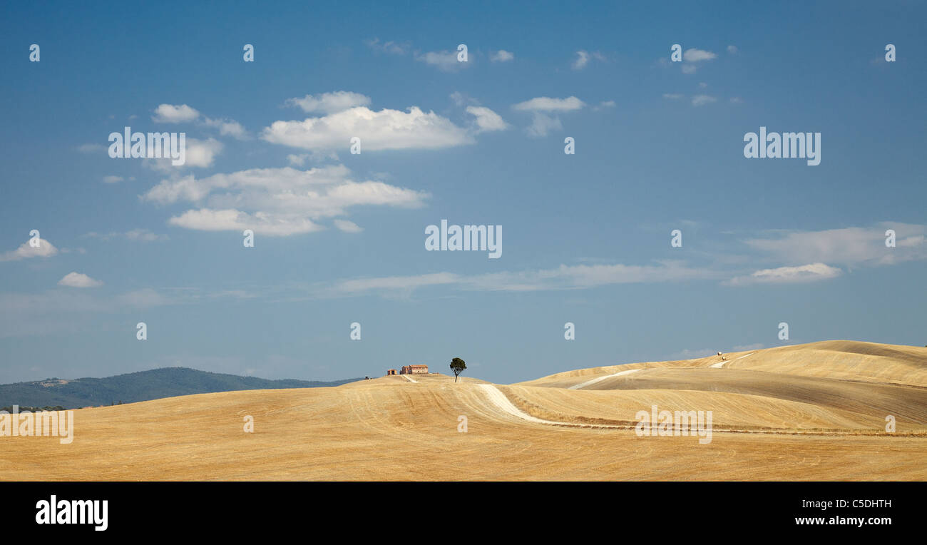 Classic Val d'Orcia Tuscan farm house and tree in Tuscany, Italy Stock Photo
