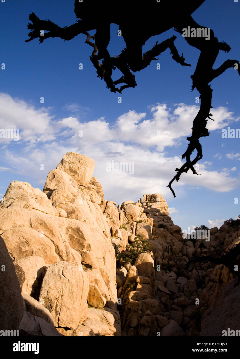 A strangely unique gneiss rock formation in the American Southwest desert Stock Photo