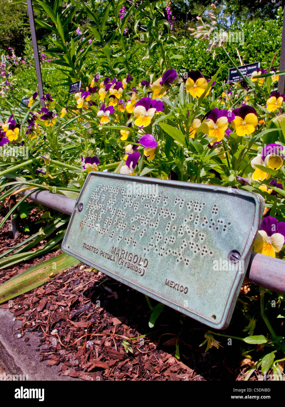 Signs in Braille guide the vision-impaired at the Alice Recknagel Ireys Fragrance Garden of the Brooklyn Botanic Garden in NY. Stock Photo