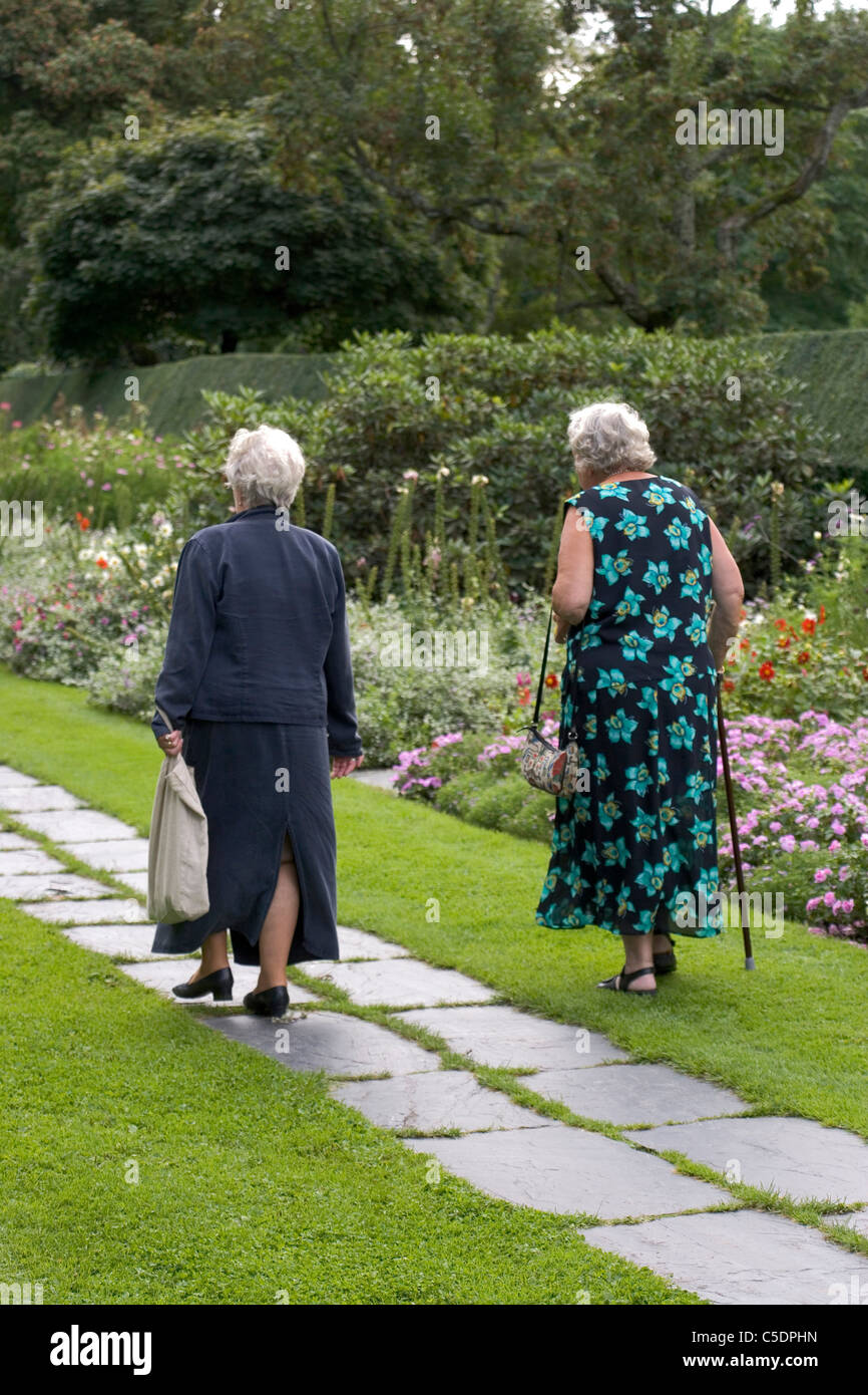 Rear view of elderly women walking in park hi-res stock photography and ...