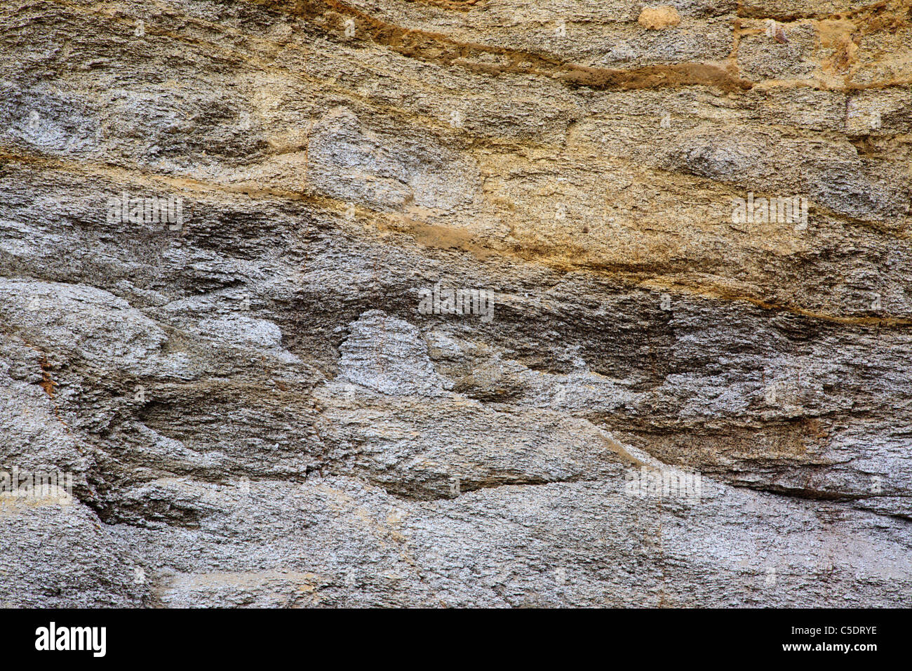 Abstract of sandpit at Bartlett Experimental Forest in Bartlett, New