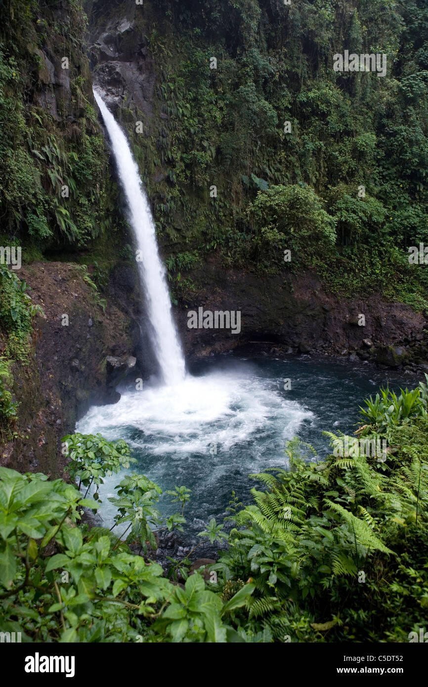 View of waterfall amid plants in the rainforest at Costa Rica Stock Photo