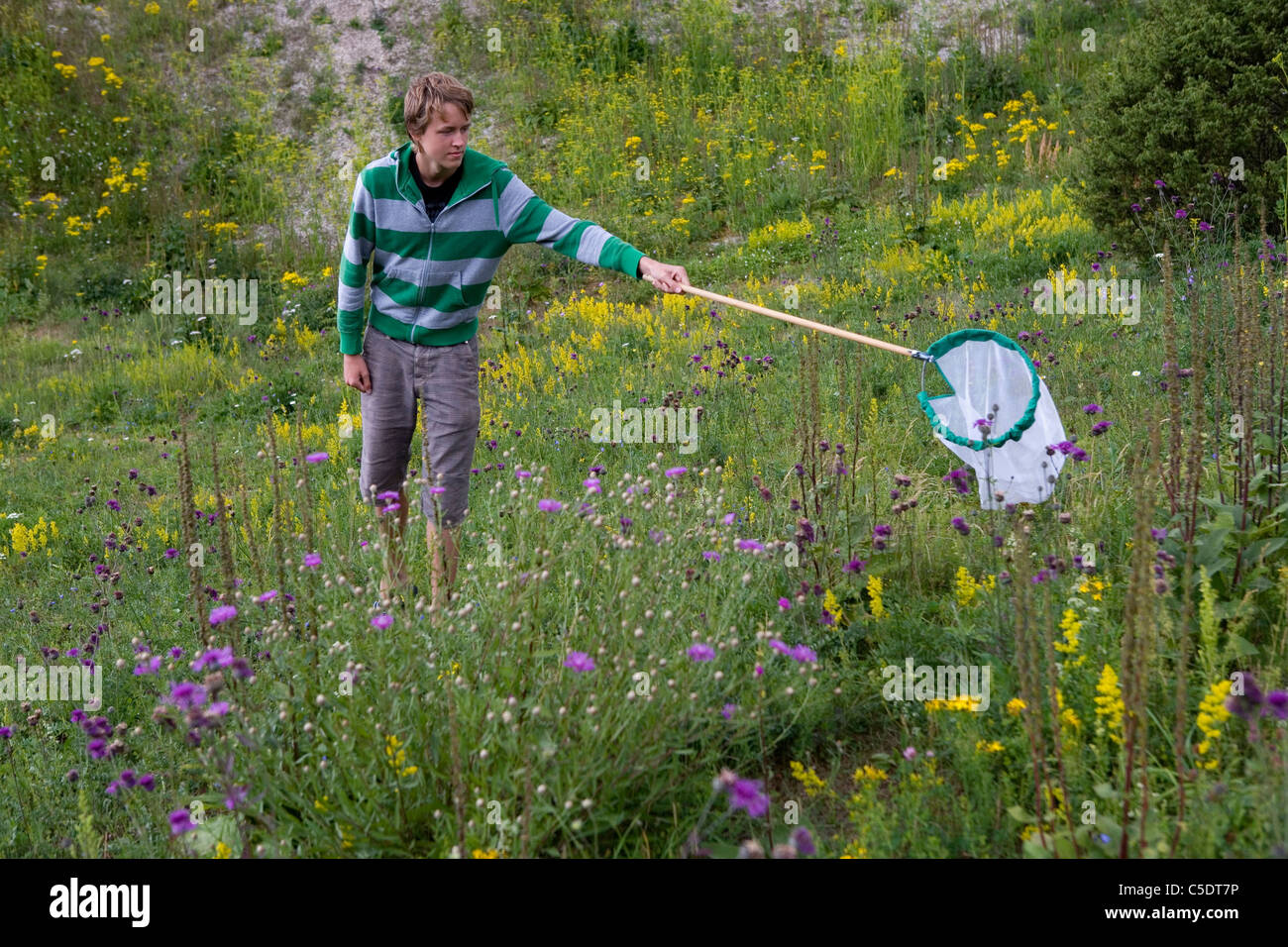 Teenage boy with net catching butterfly in the flowery meadow Stock Photo