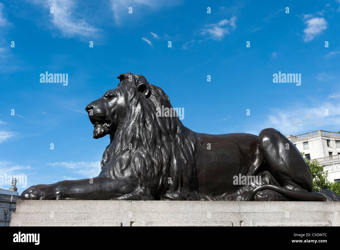 Landseer lion statue in Trafalgar Square, London, England, UK Stock Photo