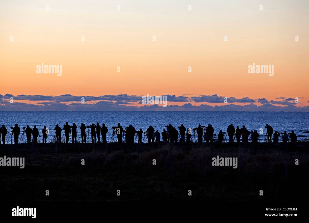 Many silhouette birdwatchers by peaceful blue sea against dramatic sky at dawn Stock Photo