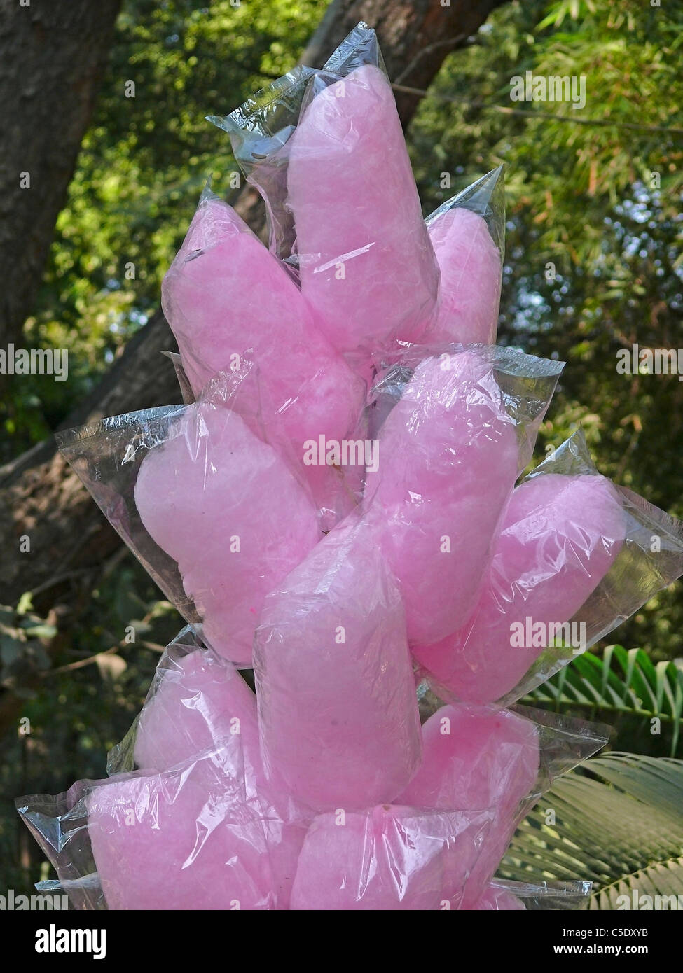 Cotton Candy on Stick Stock Photo Alamy