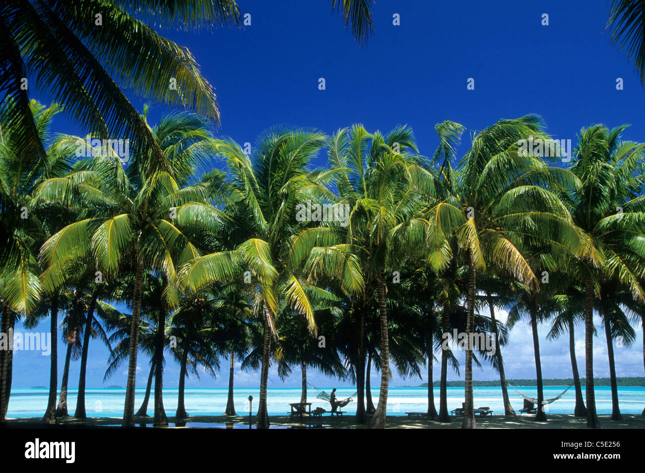 Aitutaki, Cook Islands, Polynesia Stock Photo Alamy