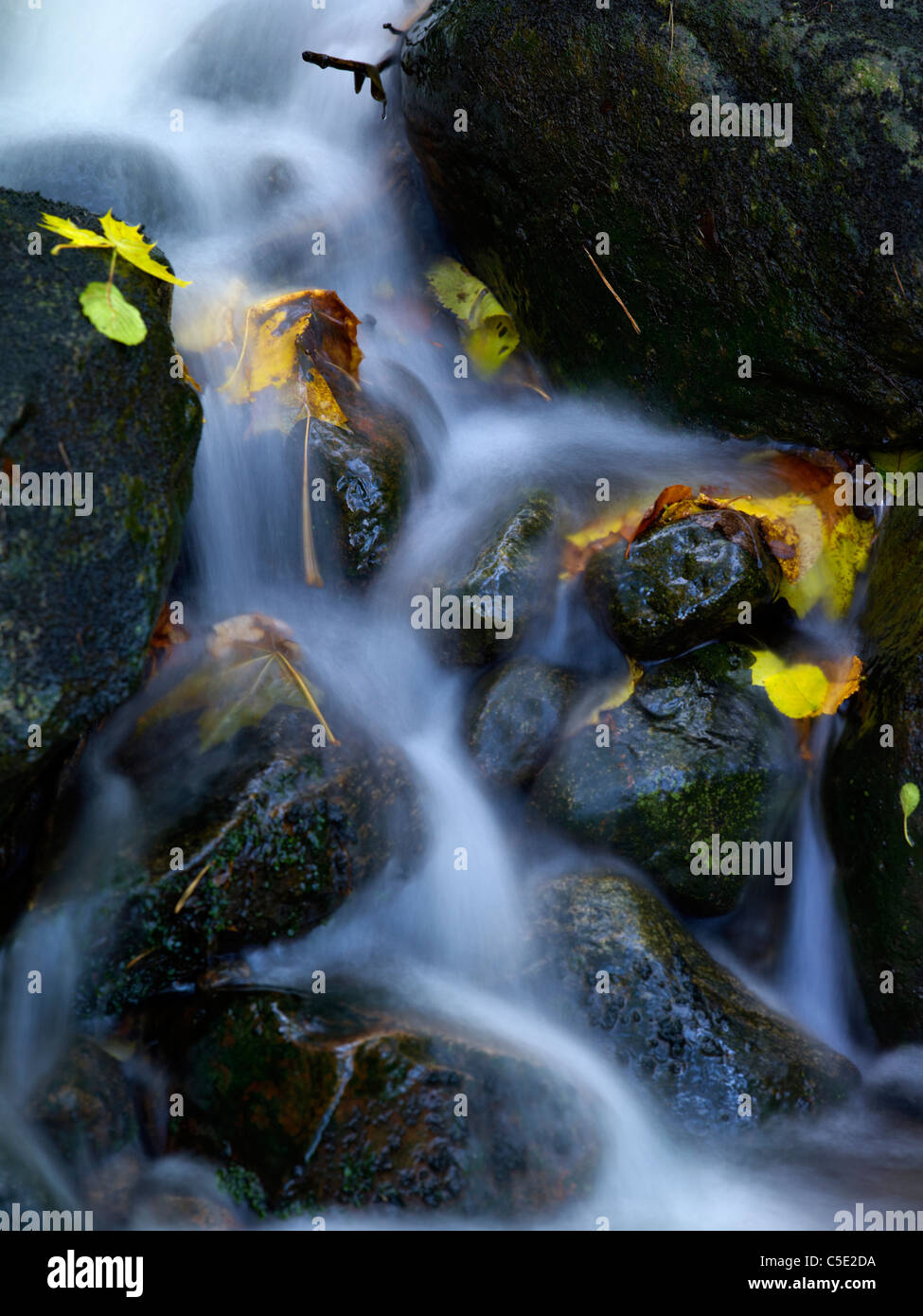 Water flowing through rocks hi-res stock photography and images - Alamy