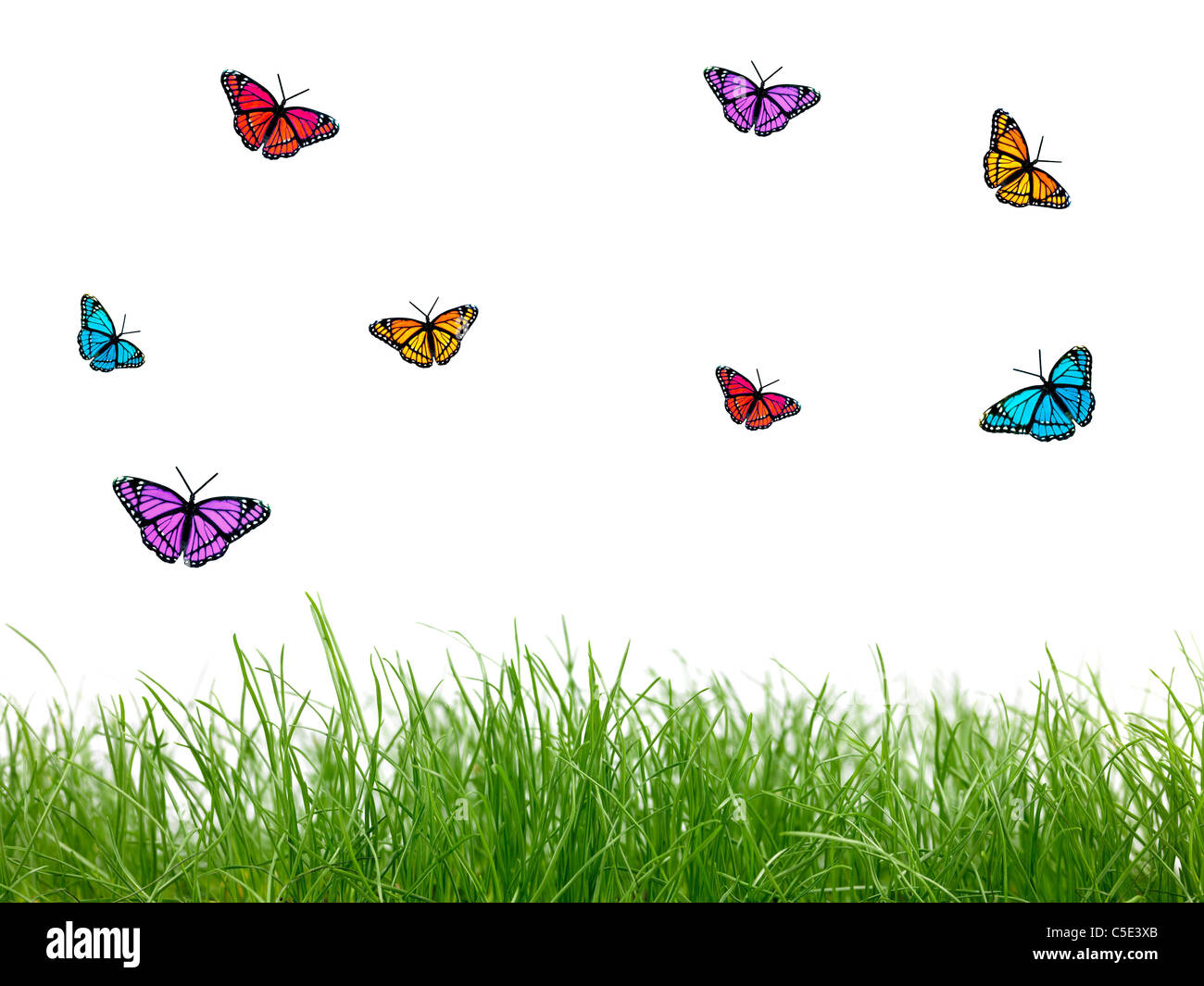 Green grass and butterflies isolated against a white background Stock ...