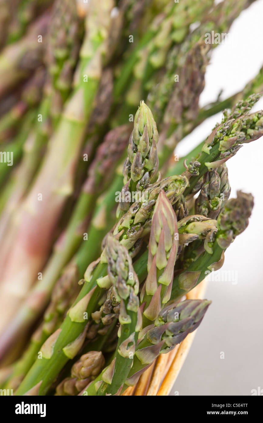 Asparagus plants hires stock photography and images Alamy
