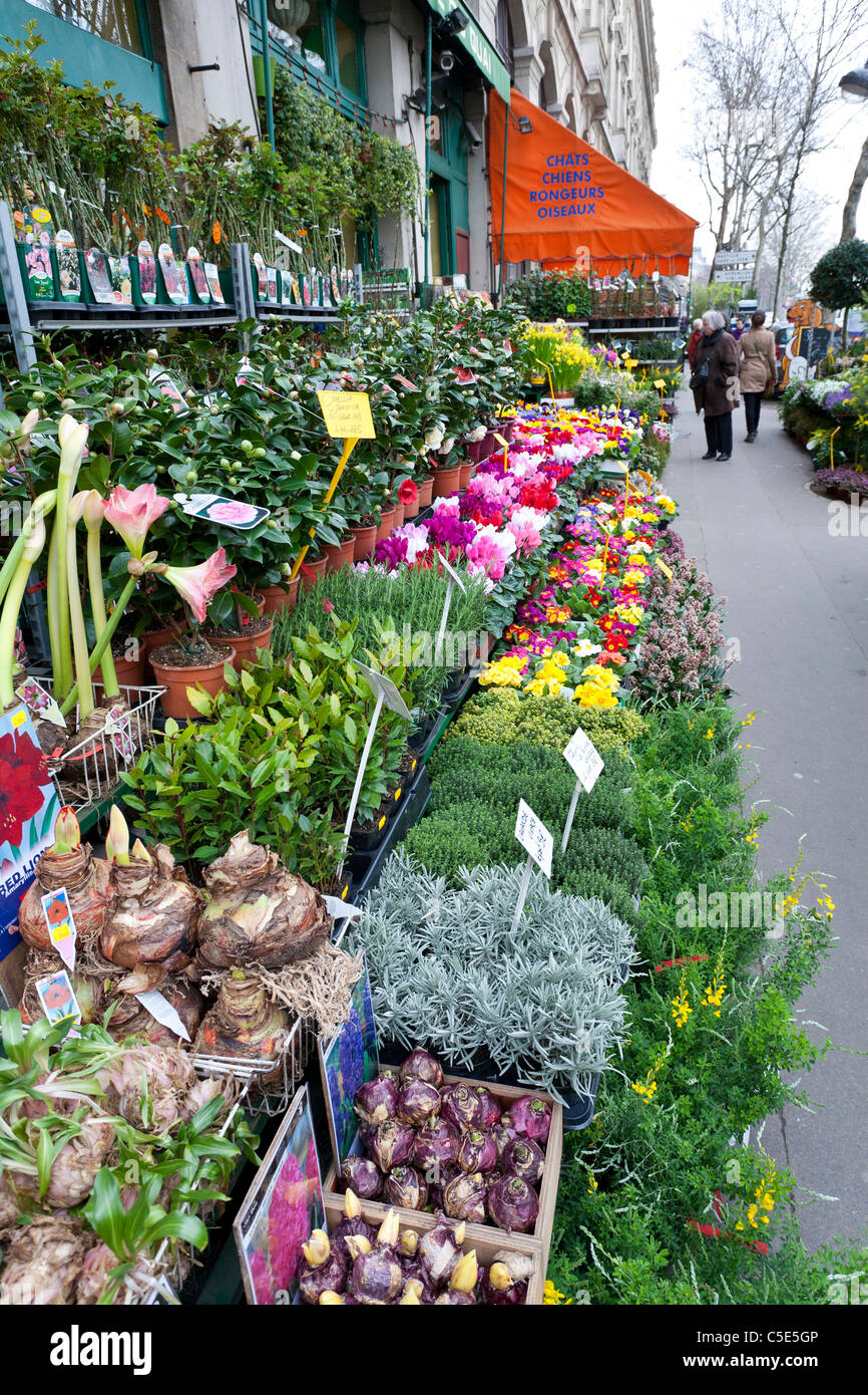 Roadside flower shop in Paris, Fance Stock Photo