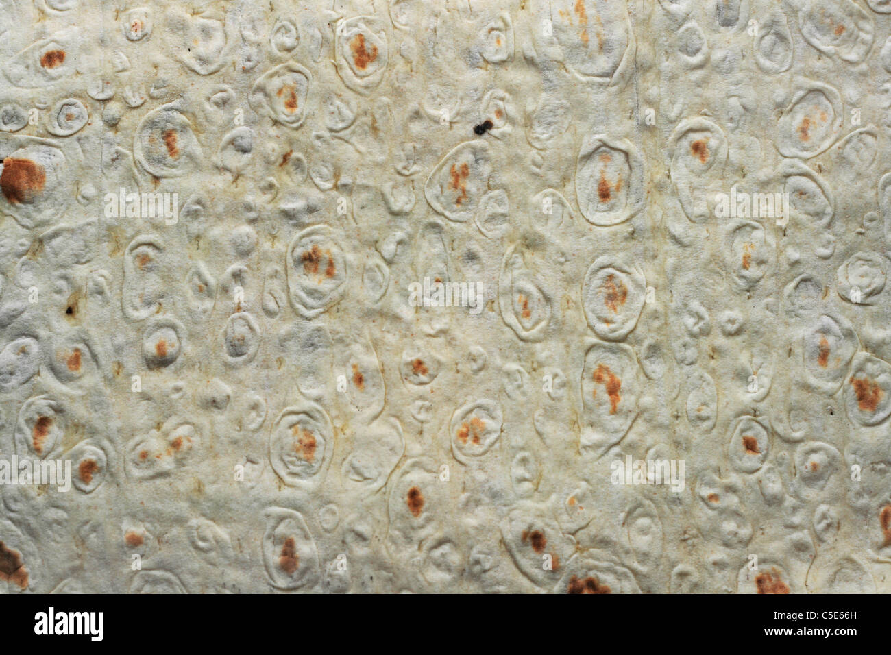 background texture of baked lavash bread back side Stock Photo - Alamy