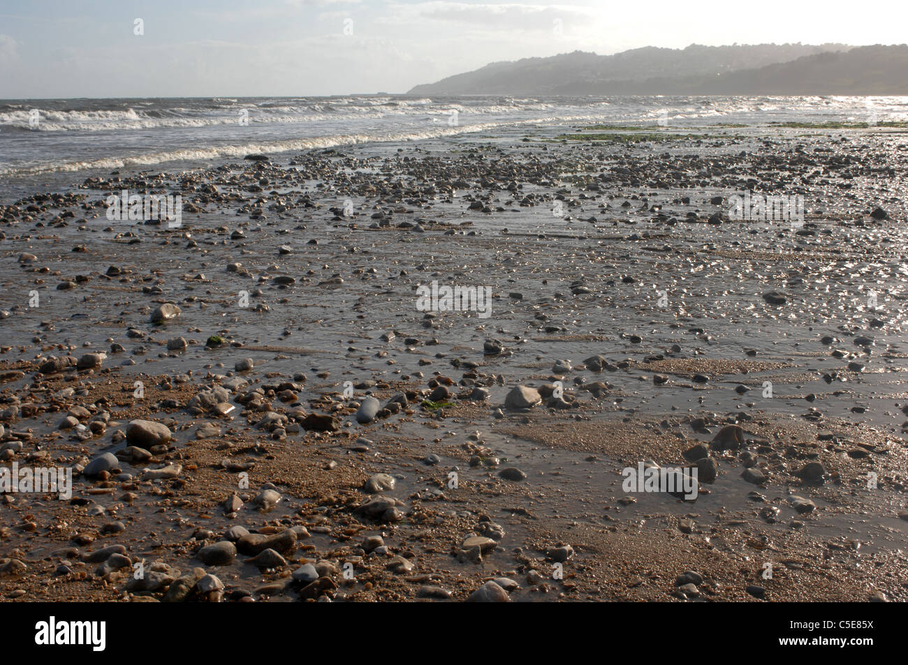 Beach, Charmouth Dorset, GB. Stock Photo