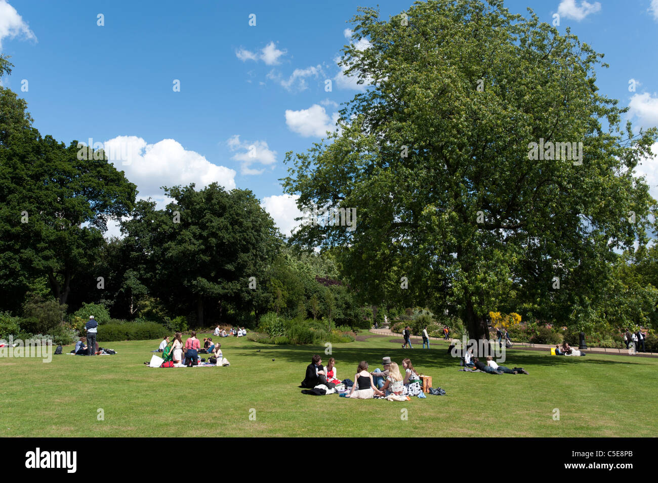 Young people having picnic in Hyde Park, London, UK Stock Photo