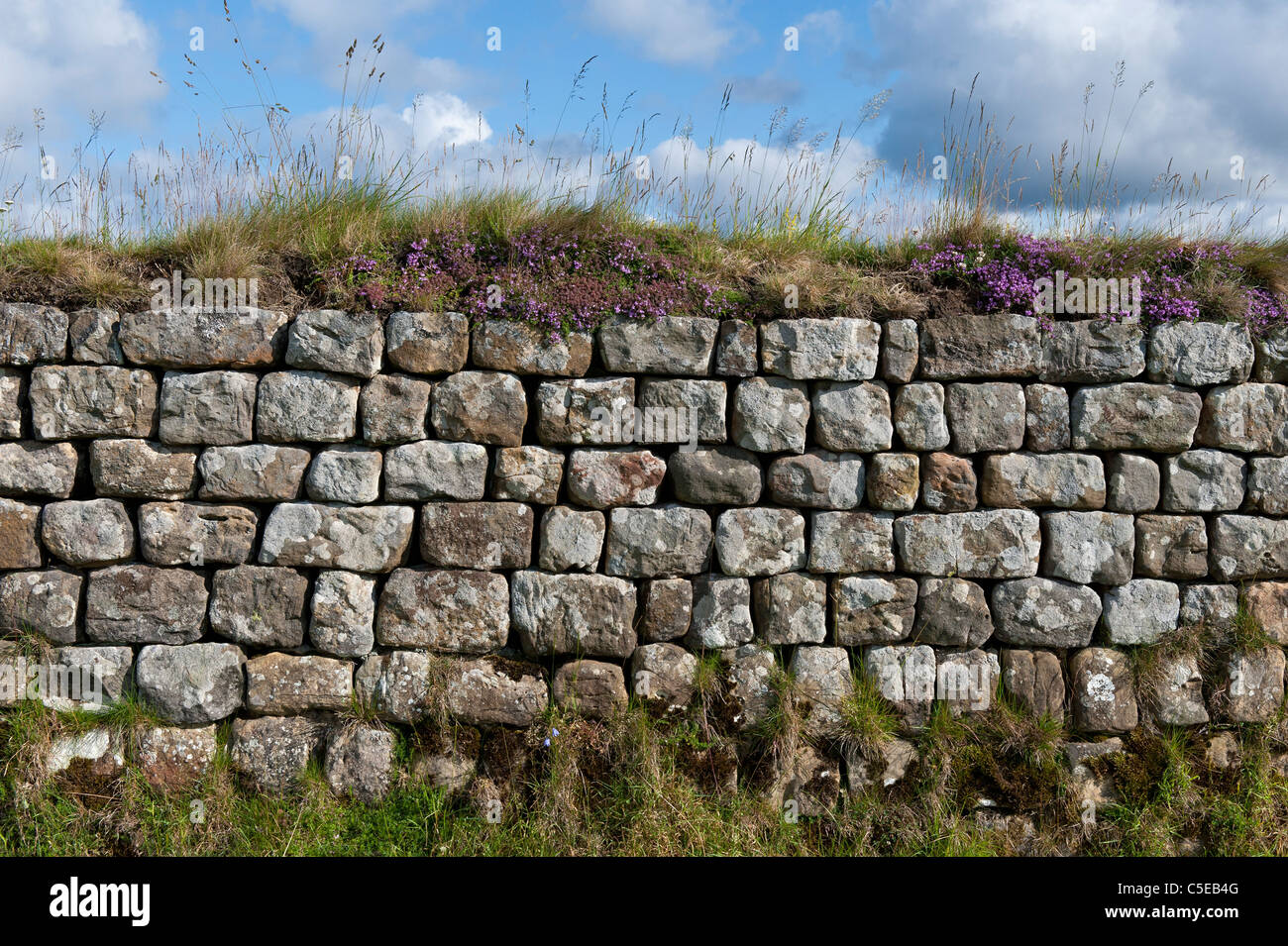 Hadrians wall stone hi-res stock photography and images - Alamy