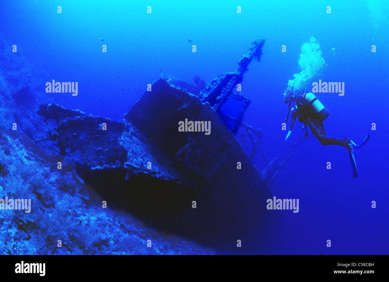 Scuba divers explore the Red Sea wreck of the 'Aida' off the island of Big Brother, Egyptian Red Sea. Blue, Blue water. Stock Photo