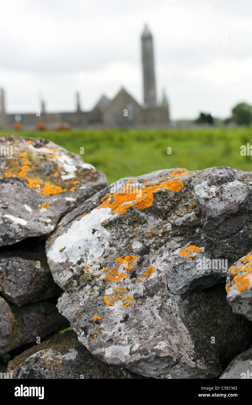 Moody shot of lichen-covered stones, Kilmacduagh Monastery, County Galway, Ireland. Stock Photo