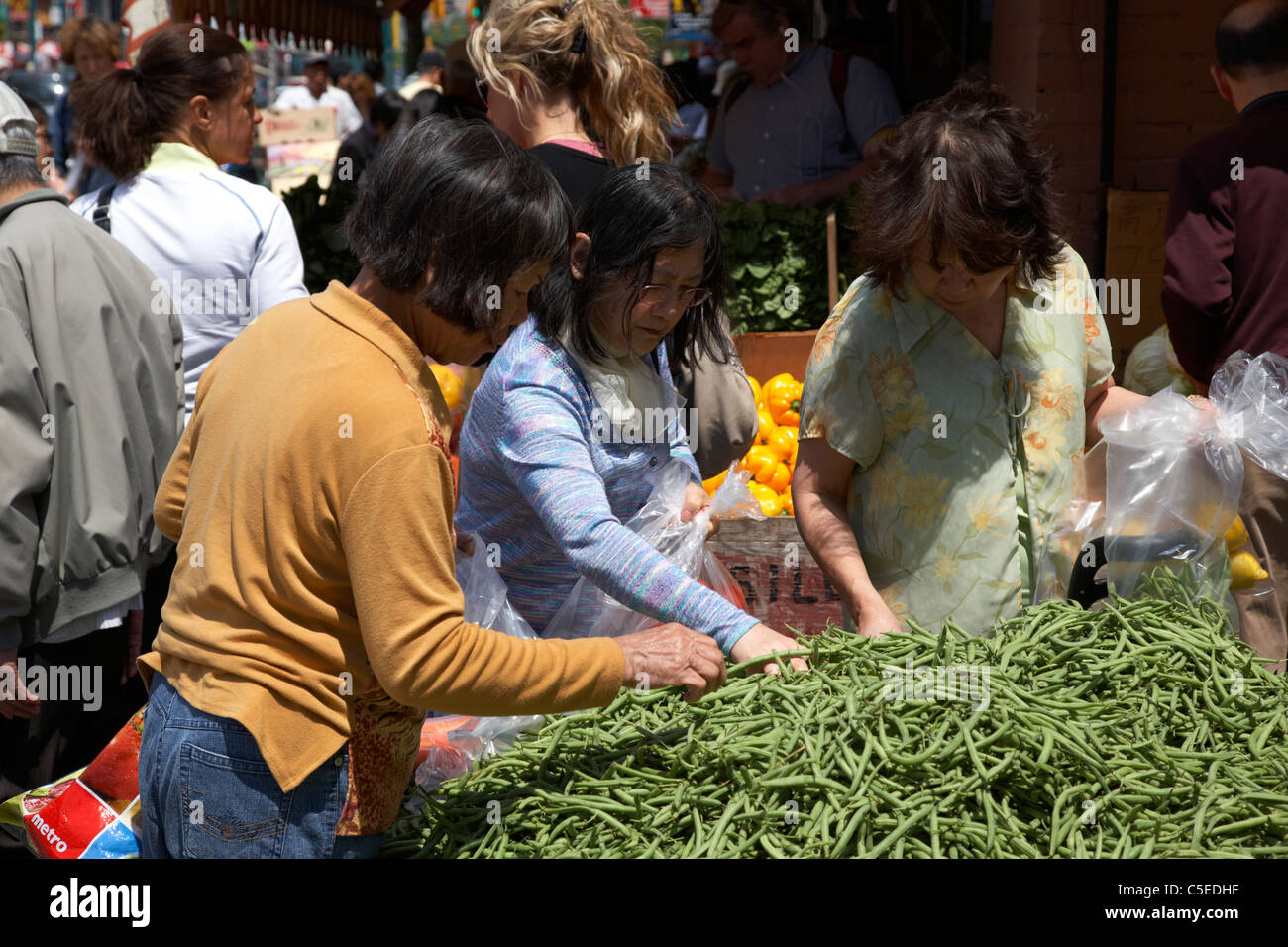 asian chinese women pick fresh vegetables from outside stall of a store chinatown toronto ontario canada Stock Photo