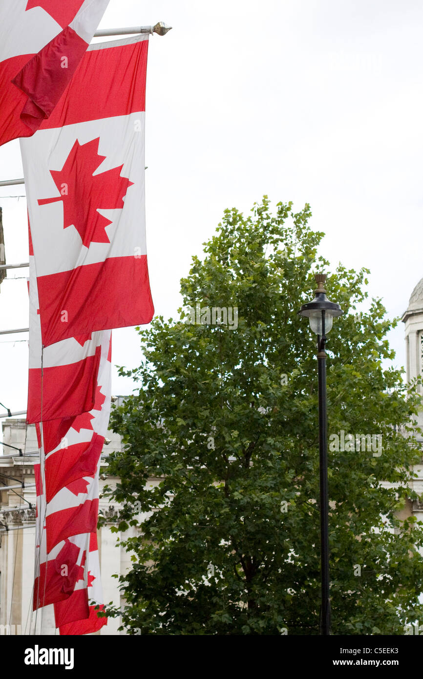 Flying The national flag of Canada Stock Photo