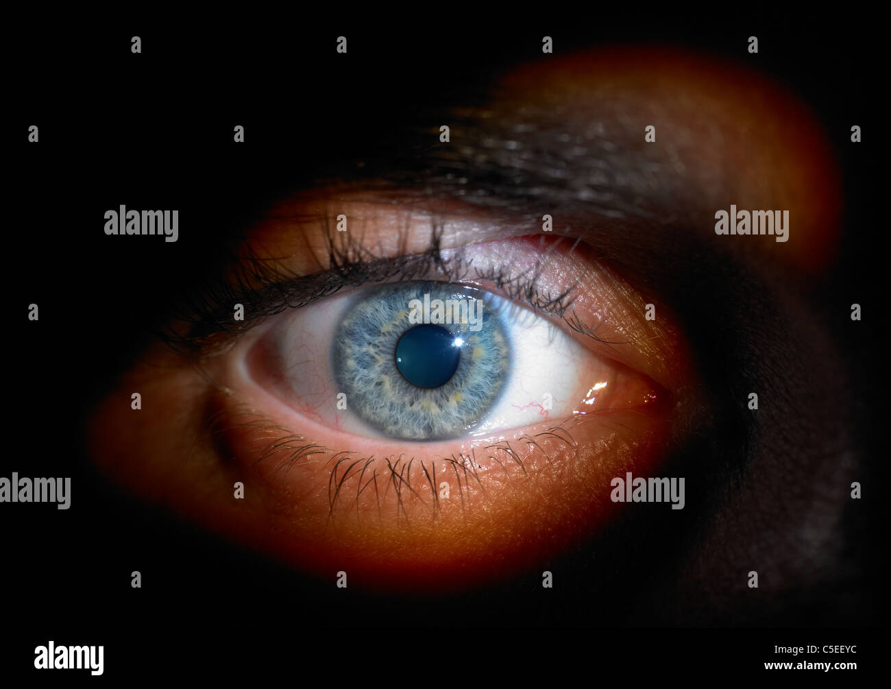 Iris eye close up tear hi-res stock photography and images - Alamy