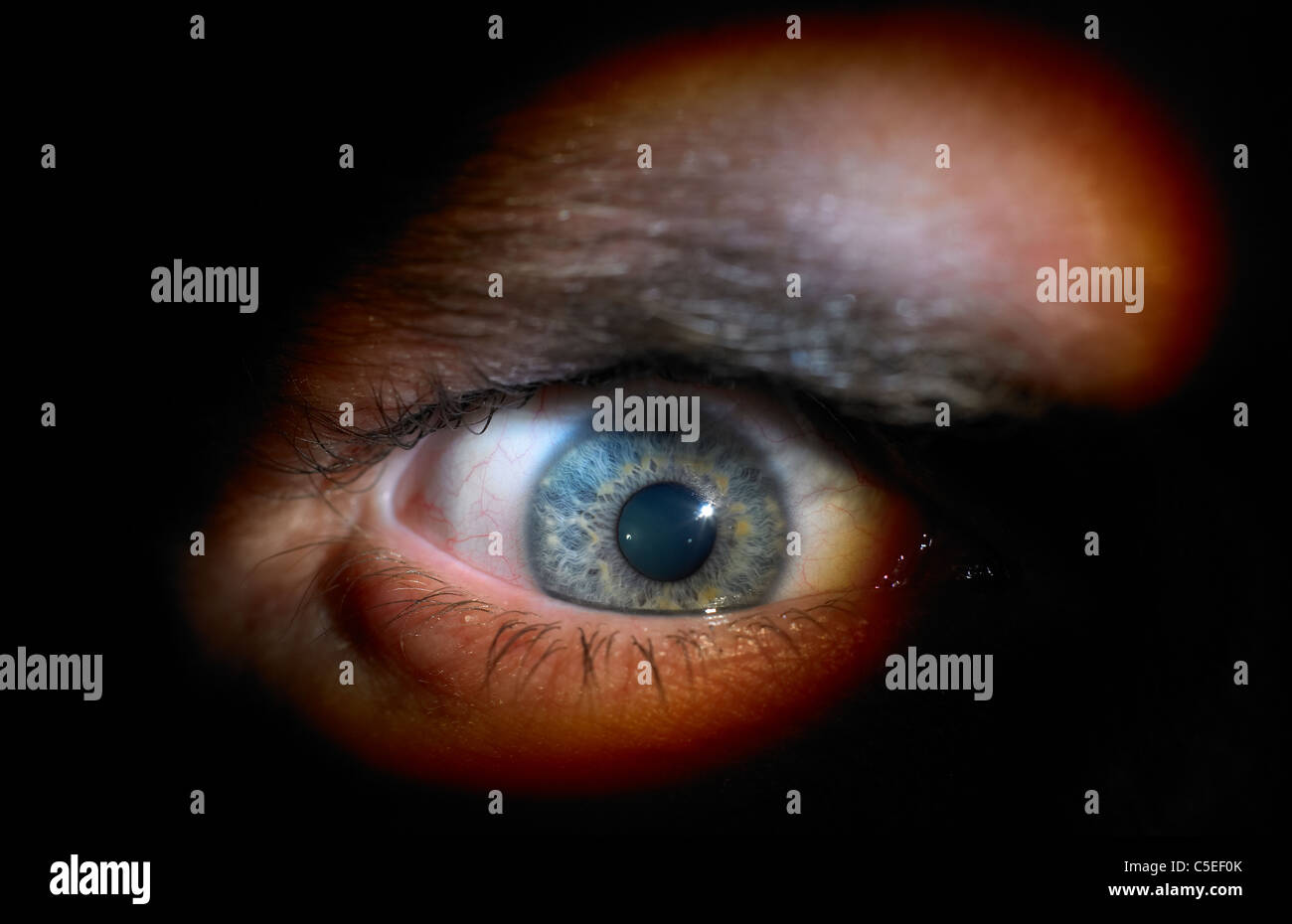 close up of a mean eye Stock Photo