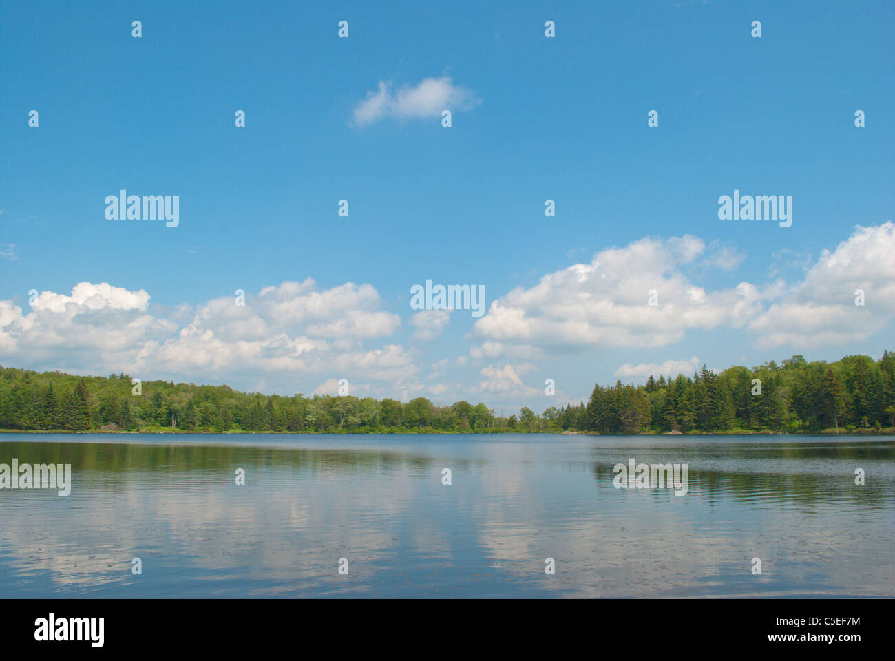 Blue sky pond hi-res stock photography and images - Alamy