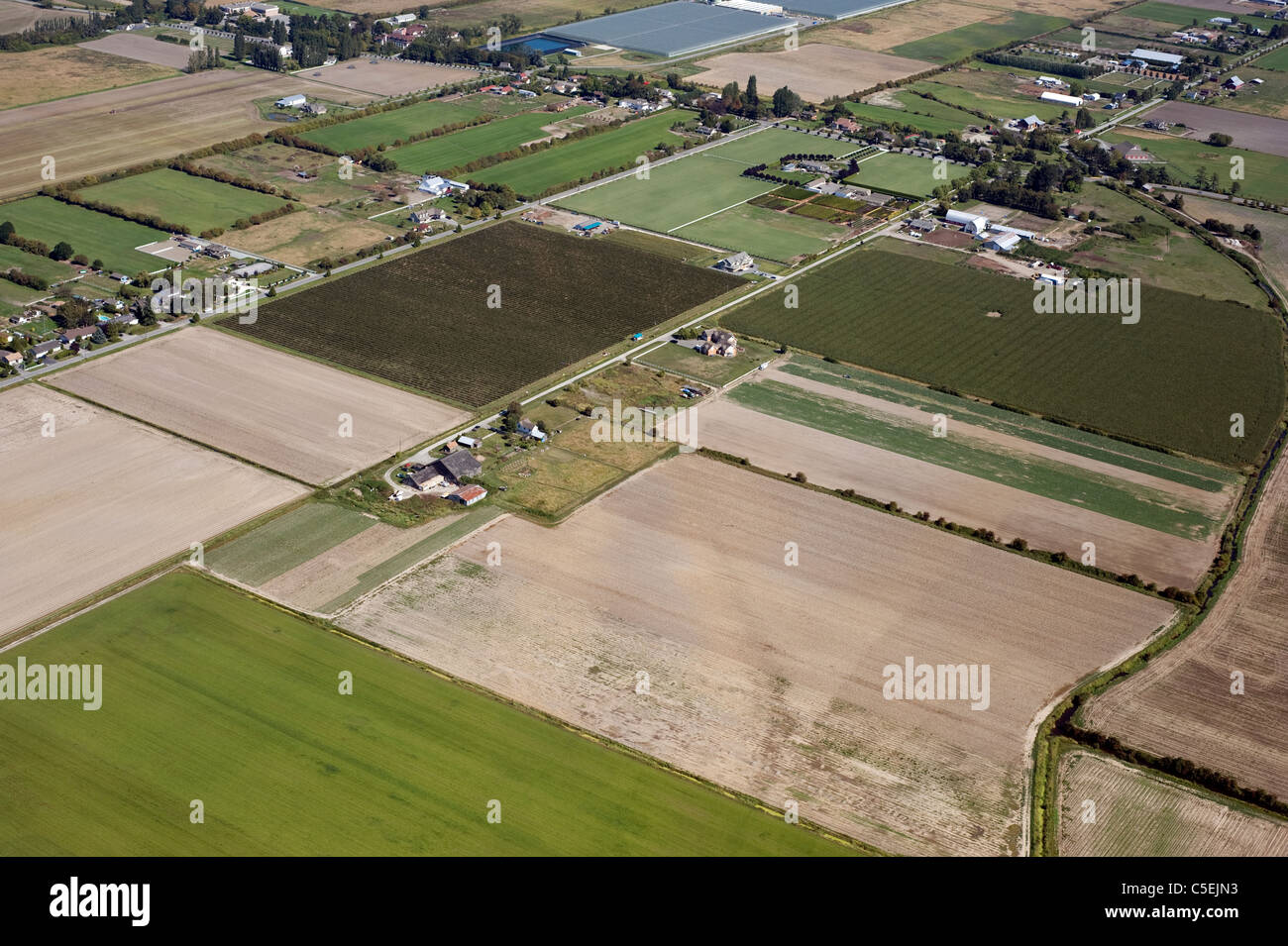 Vancouver  Aerial - Richmond farms and fields Stock Photo