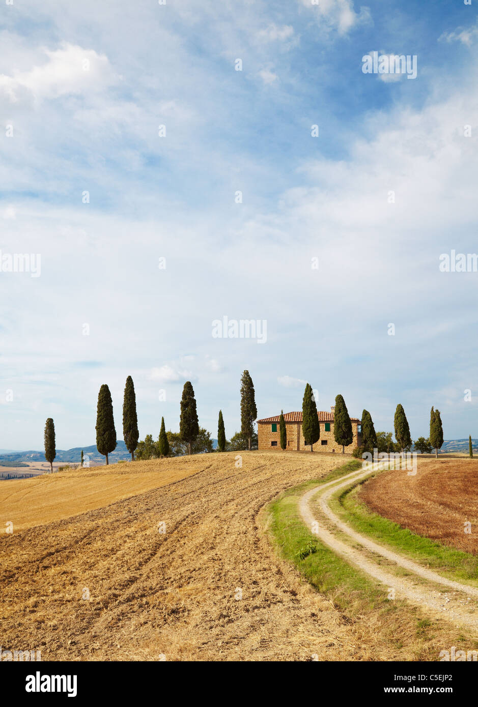 Classic Tuscan farm house and cyprus trees in Tuscany, Italy Stock Photo