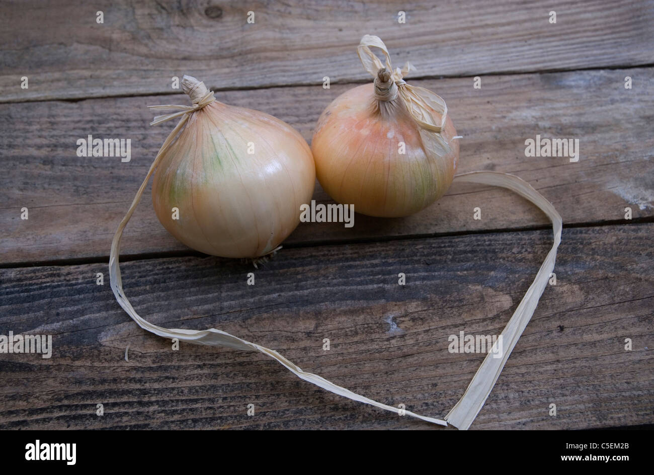 Show Onions High Resolution Stock Photography and Images - Alamy