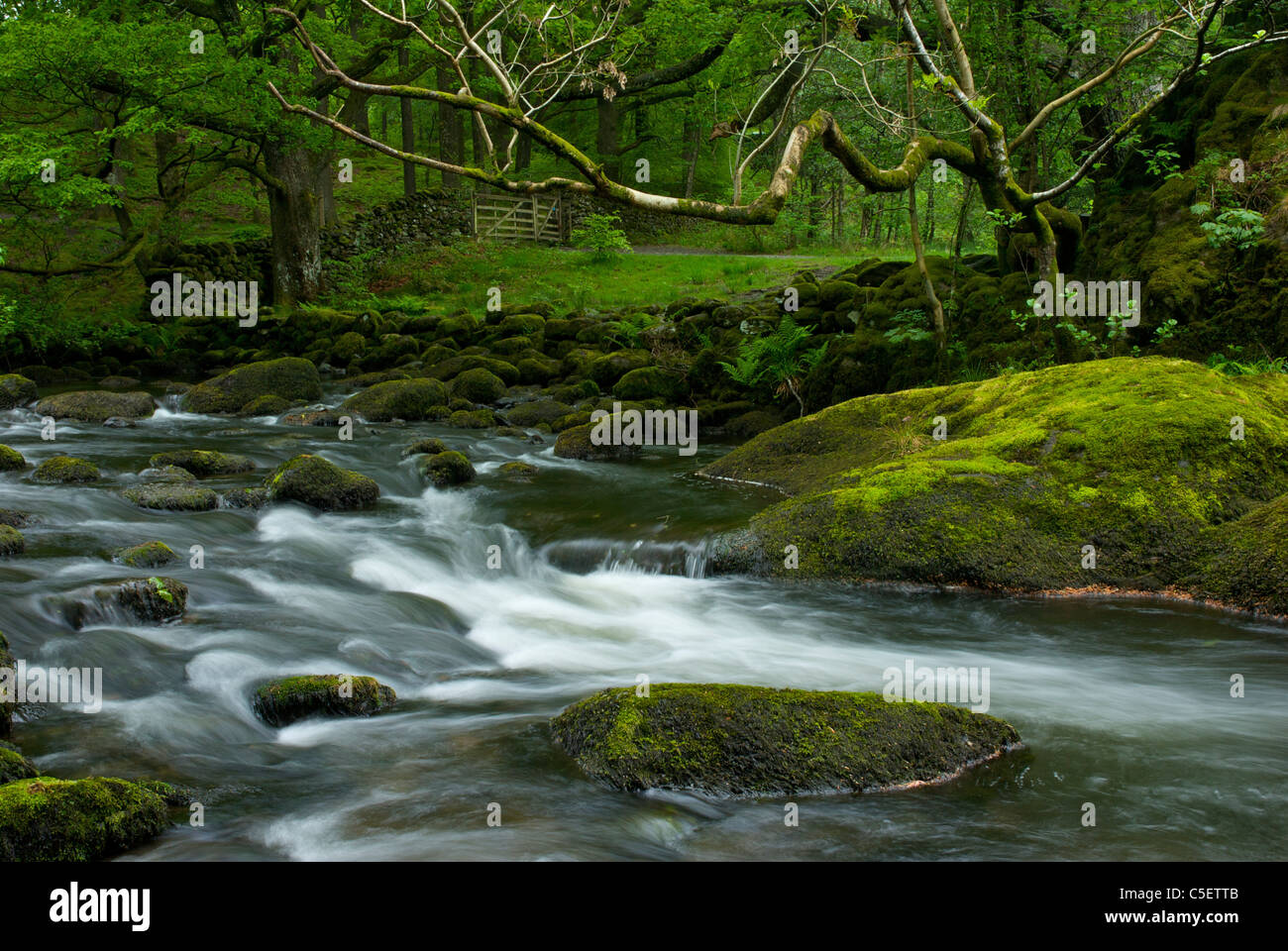 River Rothery River Rothay, between the lakes of Grasmere and Rydal Water, Lake ...