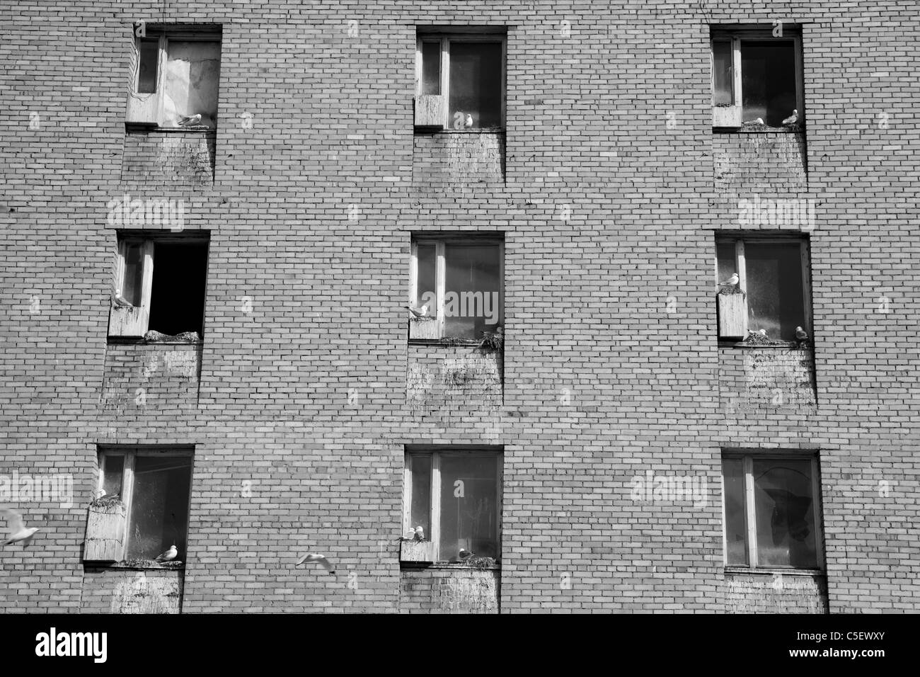 Abandoned building in Pyramiden, Svalbard. Birds have colonised the window ledges. Stock Photo